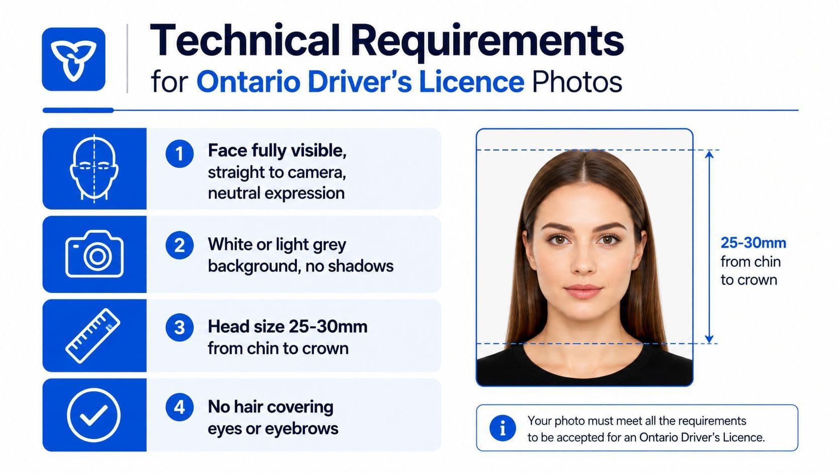 An infographic detailing the technical requirements for Ontario driver's license photos, including facial position, background, and head size.