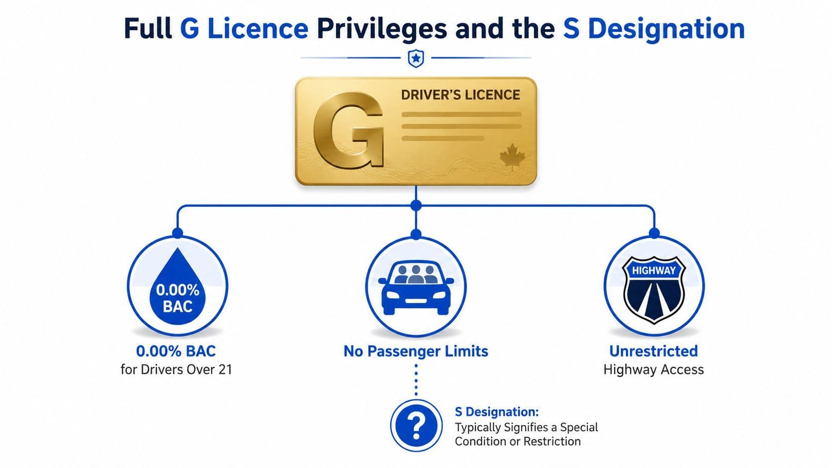 An infographic titled Full G Licence Privileges and the S Designation explaining driver licence rules and conditions.