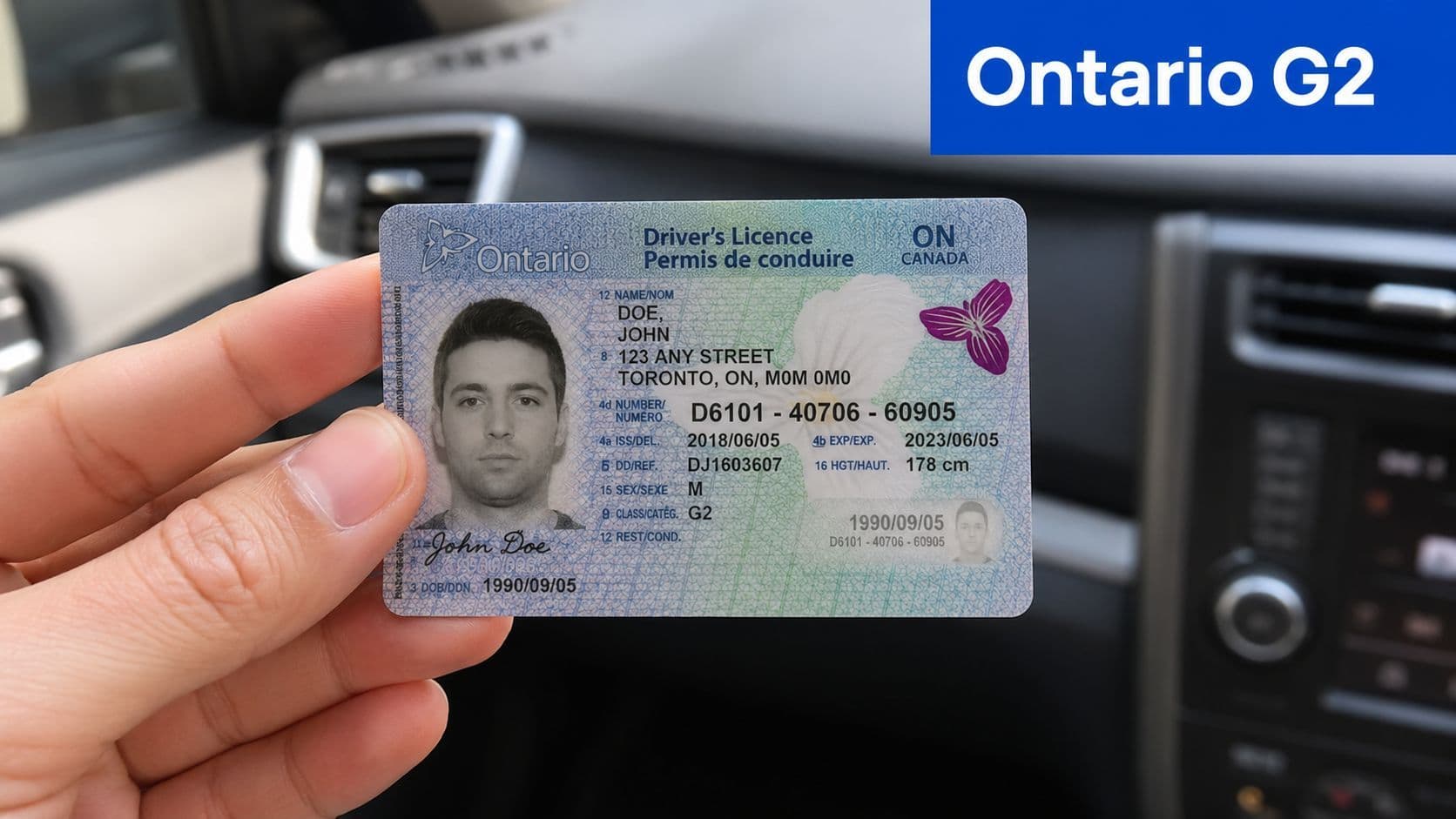 A hand holding an Ontario G2 driver's license card in front of a car dashboard background.