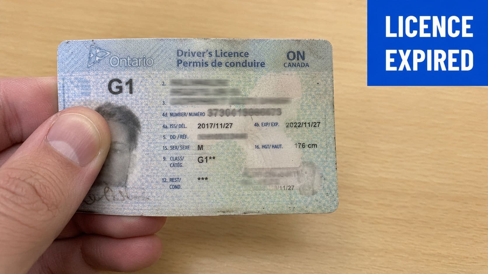 A hand holding an expired Ontario G1 driver's license card on a wooden table surface.