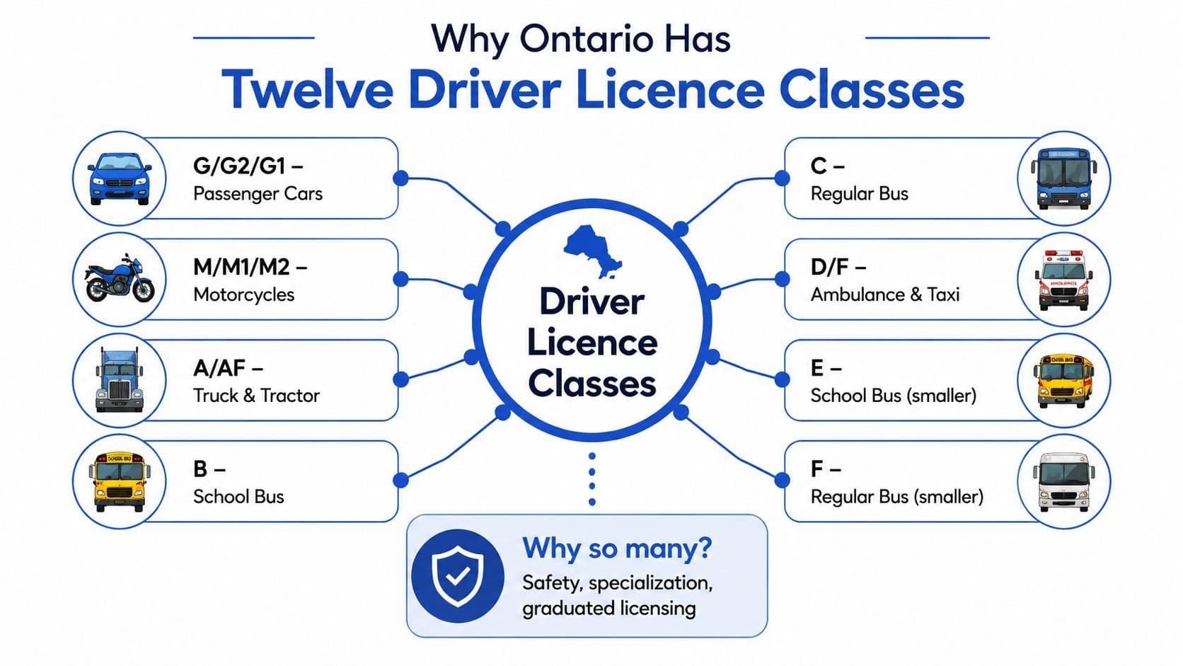 A diagram illustrating the twelve different driver licence classes in Ontario and their specific vehicle categories.